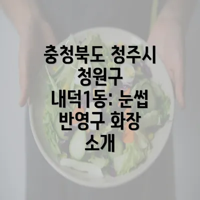 충청북도 청주시 청원구 내덕1동: 눈썹 반영구 화장 소개