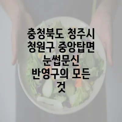 충청북도 청주시 청원구 중앙탑면 눈썹문신 반영구의 모든 것