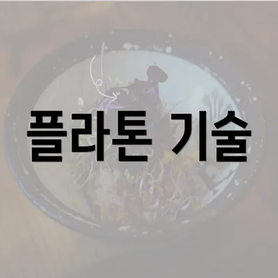 플라톤 기술