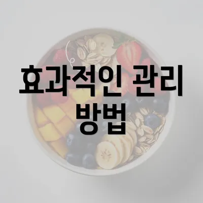 효과적인 관리 방법