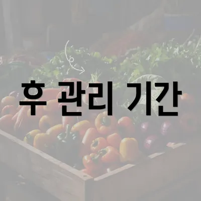 후 관리 기간