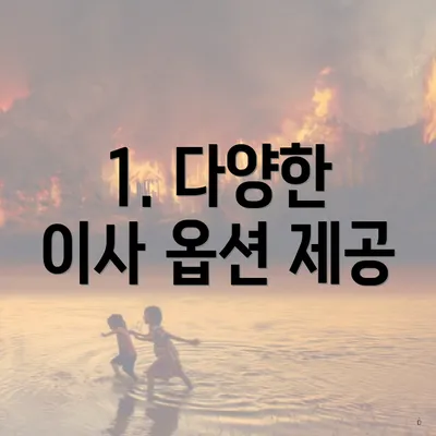 1. 다양한 이사 옵션 제공