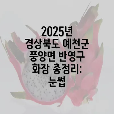 2025년 경상북도 예천군 풍양면 반영구 화장 총정리: 눈썹