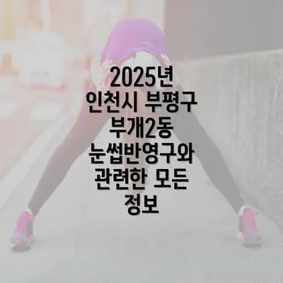 2025년 인천시 부평구 부개2동 눈썹반영구와 관련한 모든 정보