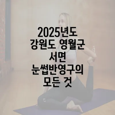 2025년도 강원도 영월군 서면 눈썹반영구의 모든 것