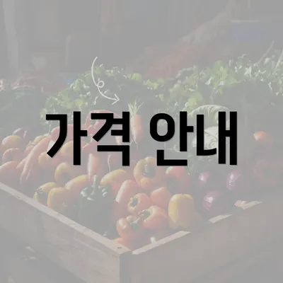 가격 안내