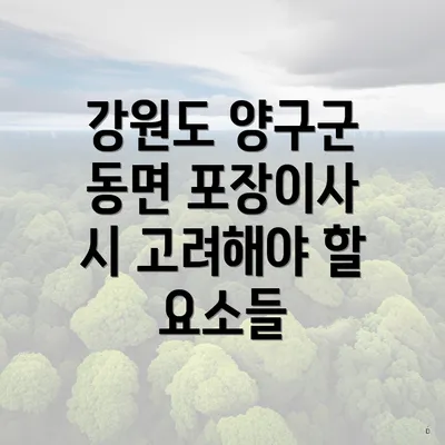 강원도 양구군 동면 포장이사 시 고려해야 할 요소들