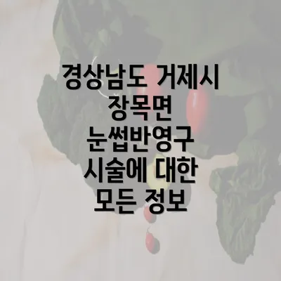 경상남도 거제시 장목면 눈썹반영구 시술에 대한 모든 정보