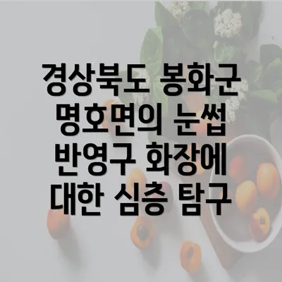 경상북도 봉화군 명호면의 눈썹 반영구 화장에 대한 심층 탐구