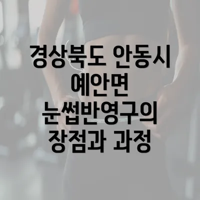 경상북도 안동시 예안면 눈썹반영구의 장점과 과정