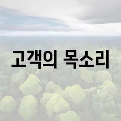 고객의 목소리