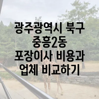 광주광역시 북구 중흥2동 포장이사 비용과 업체 비교하기