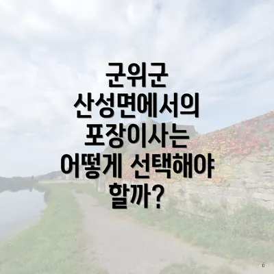 군위군 산성면에서의 포장이사는 어떻게 선택해야 할까?