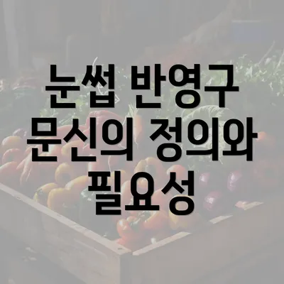 눈썹 반영구 문신의 정의와 필요성