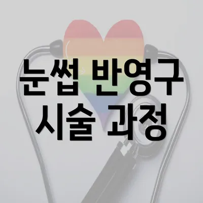 눈썹 반영구 시술 과정