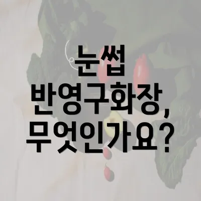 눈썹 반영구화장, 무엇인가요?