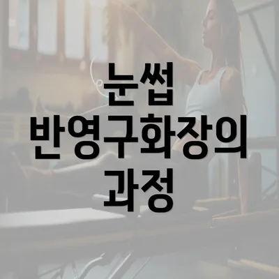 눈썹 반영구화장의 과정