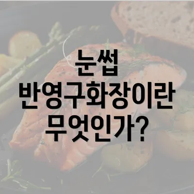 눈썹 반영구화장이란 무엇인가?