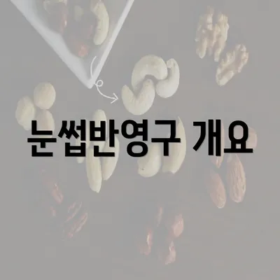 눈썹반영구 개요