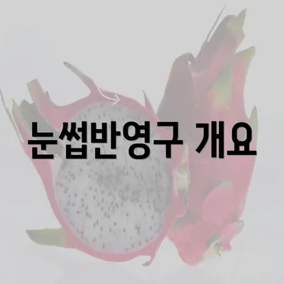 눈썹반영구 개요