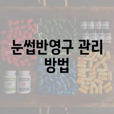 눈썹반영구 관리 방법