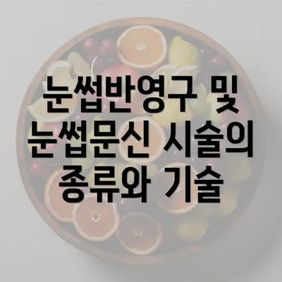 눈썹반영구 및 눈썹문신 시술의 종류와 기술