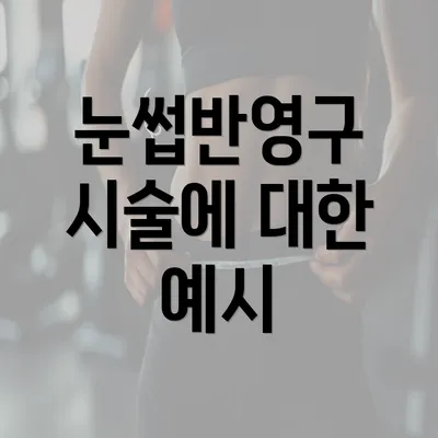 눈썹반영구 시술에 대한 예시