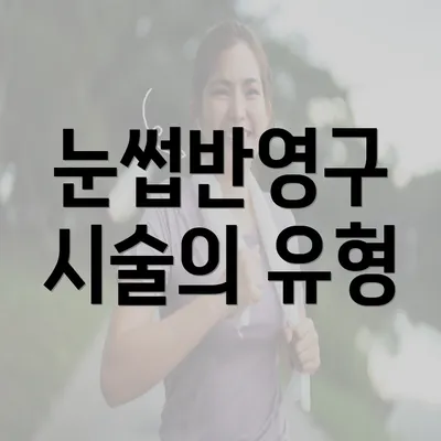 눈썹반영구 시술의 유형