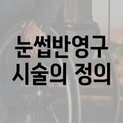 눈썹반영구 시술의 정의