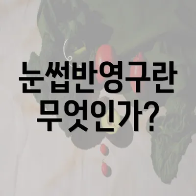 눈썹반영구란 무엇인가?