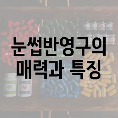 눈썹반영구의 매력과 특징