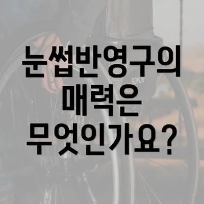 눈썹반영구의 매력은 무엇인가요?