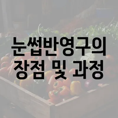 눈썹반영구의 장점 및 과정