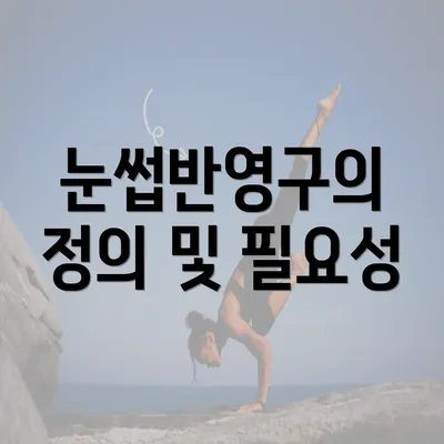 눈썹반영구의 정의 및 필요성