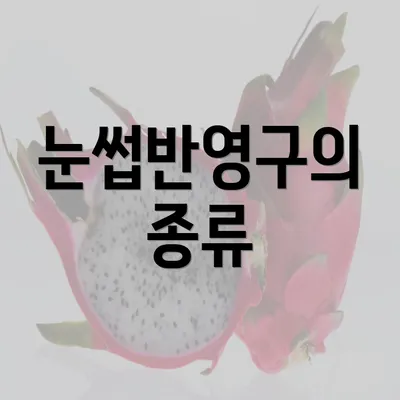 눈썹반영구의 종류