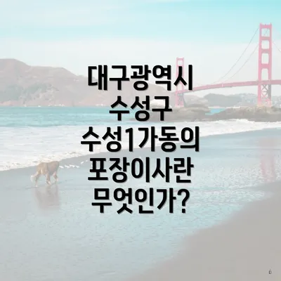 대구광역시 수성구 수성1가동의 포장이사란 무엇인가?