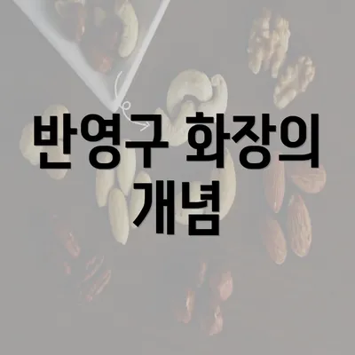 반영구 화장의 개념