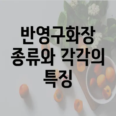 반영구화장 종류와 각각의 특징