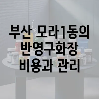 부산 모라1동의 반영구화장 비용과 관리