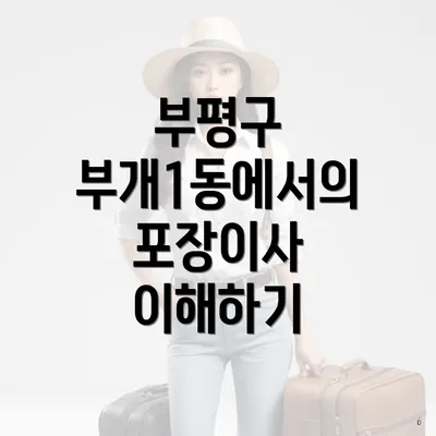 부평구 부개1동에서의 포장이사 이해하기