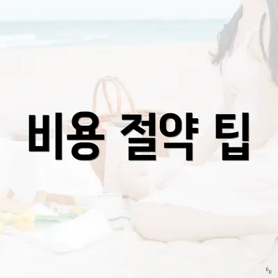 비용 절약 팁