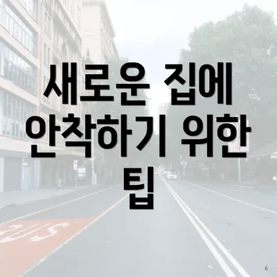 새로운 집에 안착하기 위한 팁