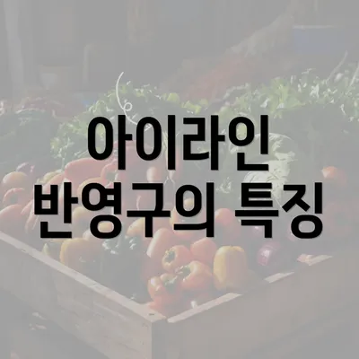 아이라인 반영구의 특징