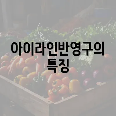 아이라인반영구의 특징