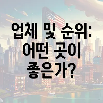 업체 및 순위: 어떤 곳이 좋은가?