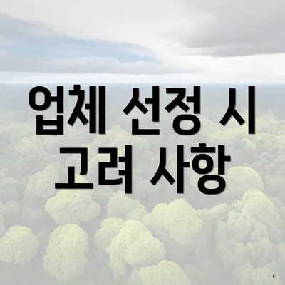 업체 선정 시 고려 사항