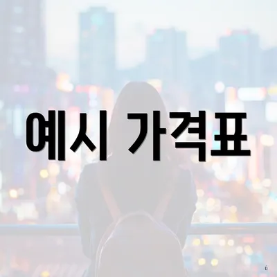 예시 가격표