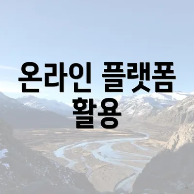 온라인 플랫폼 활용