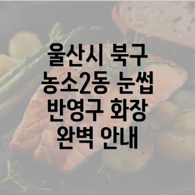 울산시 북구 농소2동 눈썹 반영구 화장 완벽 안내