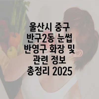 울산시 중구 반구2동 눈썹 반영구 화장 및 관련 정보 총정리 2025